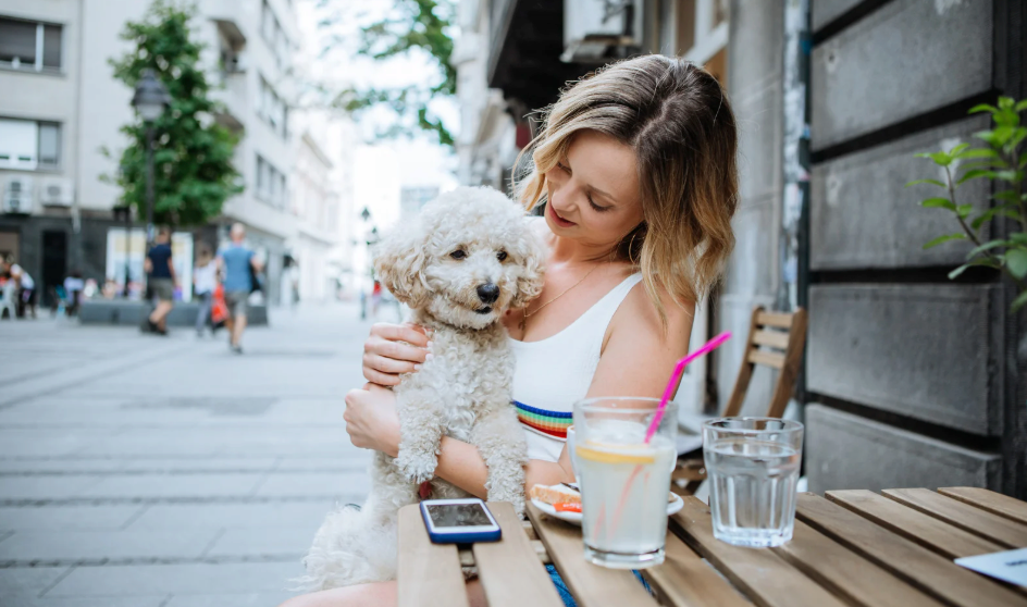 Our Local Area - The #1 Most Dog Friendly City in the US?!