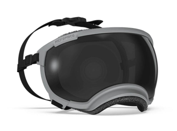 Product_Web_RexSpecGray_600x.