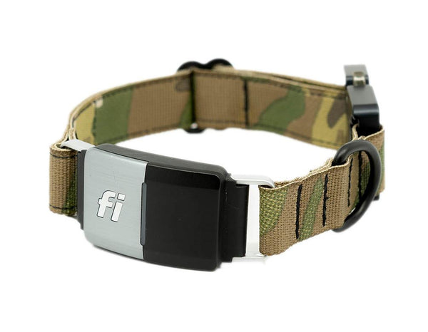 Murphy  Fi Smart Dog Collar