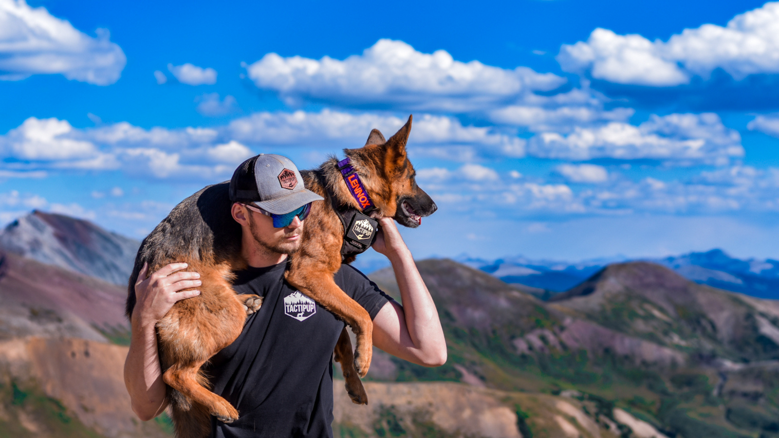 7 Tips on How to Travel Prep For Your Dog