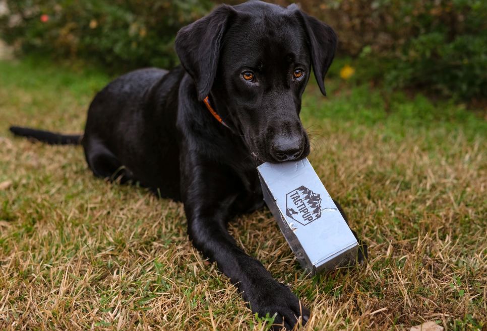 The Importance of Caring for your Tactipup Gear