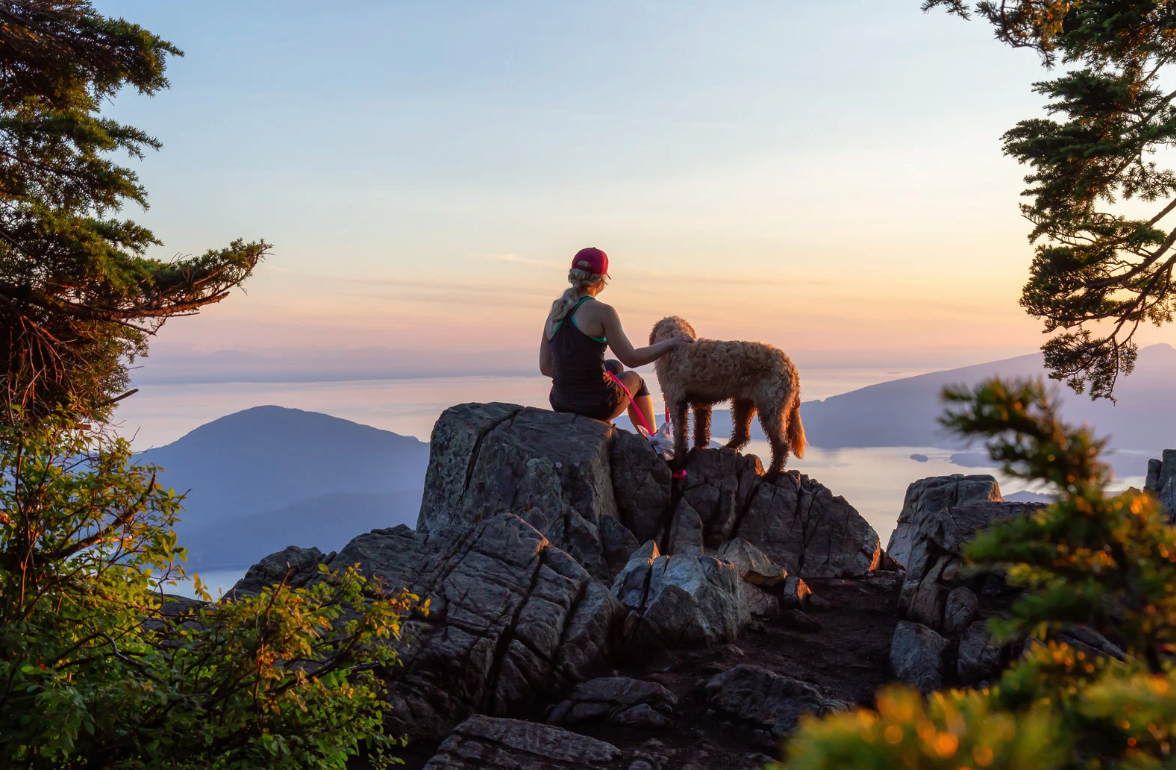 Top 10 Dog Friendly Trails in the USA