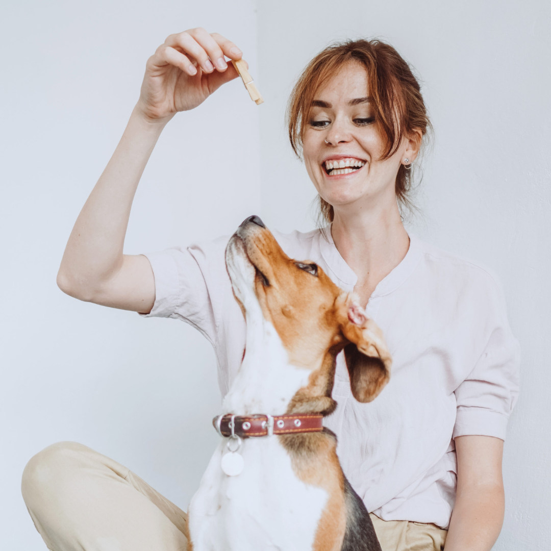What Does Heel Mean in Dog Training?