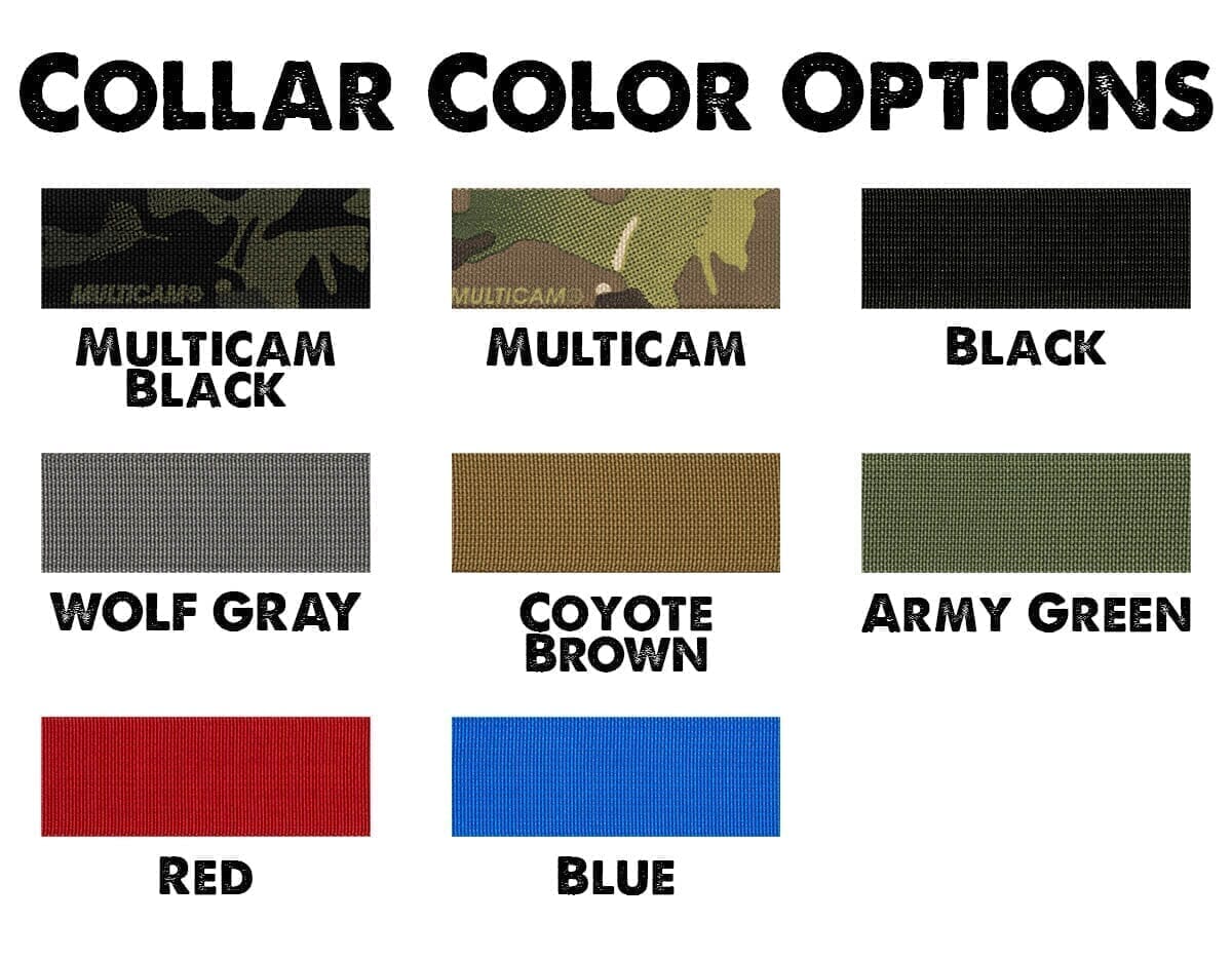 Personalized 1" Basic Tactical Dog Collar