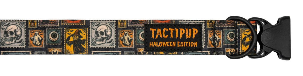 Limited Edition: 1.5&quot; Halloween 2025 Collar