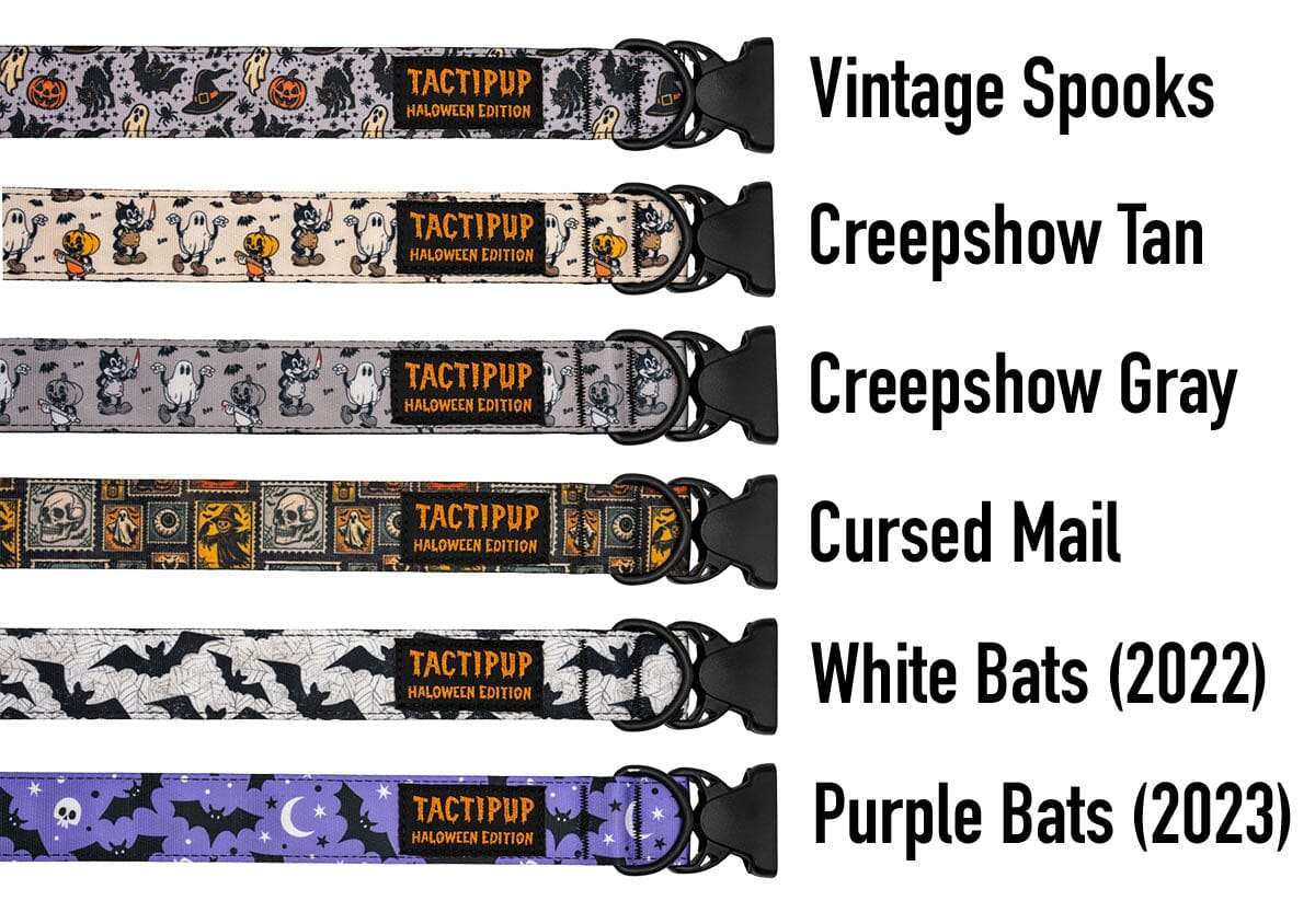 Limited Edition: 1.5&quot; Halloween 2025 Collar