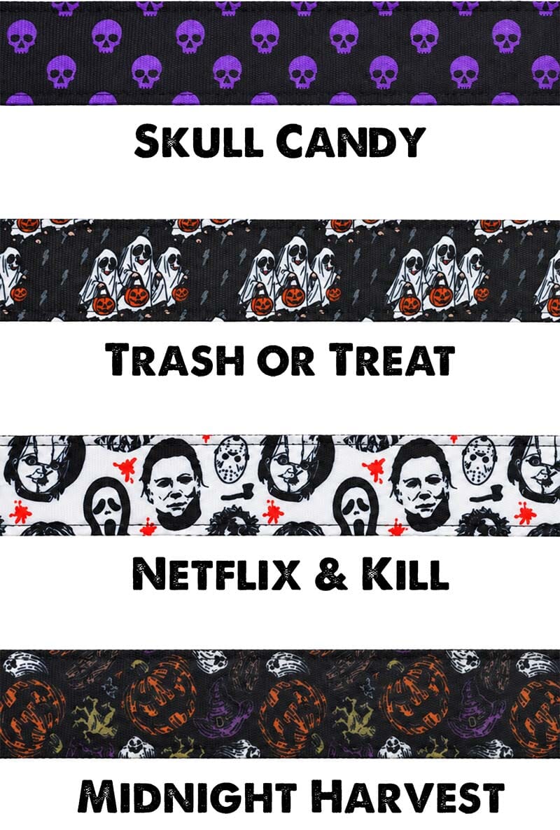 Limited Edition: 1.5" Halloween 2026 Collar
