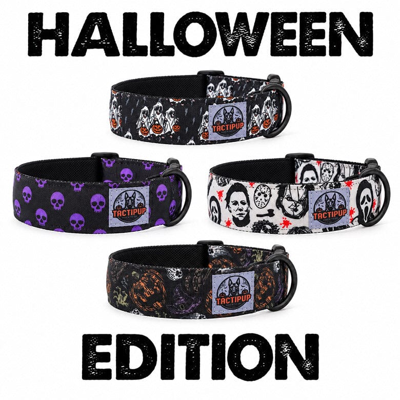 Limited Edition: 1.5" Halloween 2026 Collar