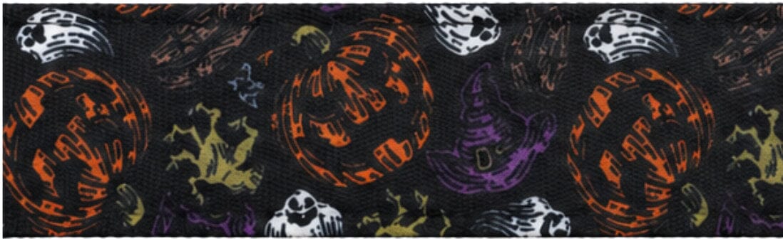 Limited Edition: 1.5" Halloween 2026 Collar