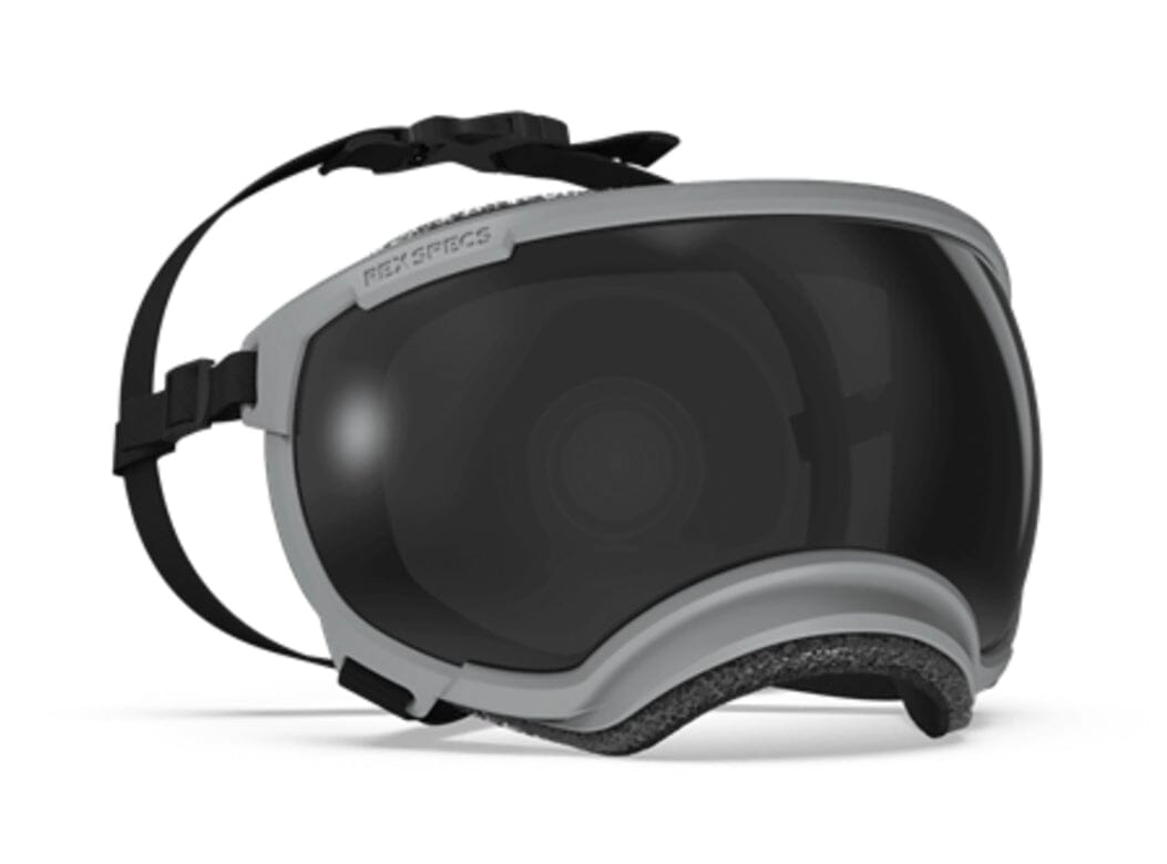 goggles for dogs Rex Specs V2 Dog Goggles - Yazberry