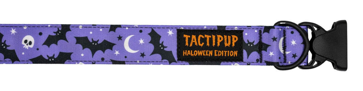 Limited Edition: 1.5&quot; Halloween 2025 Collar