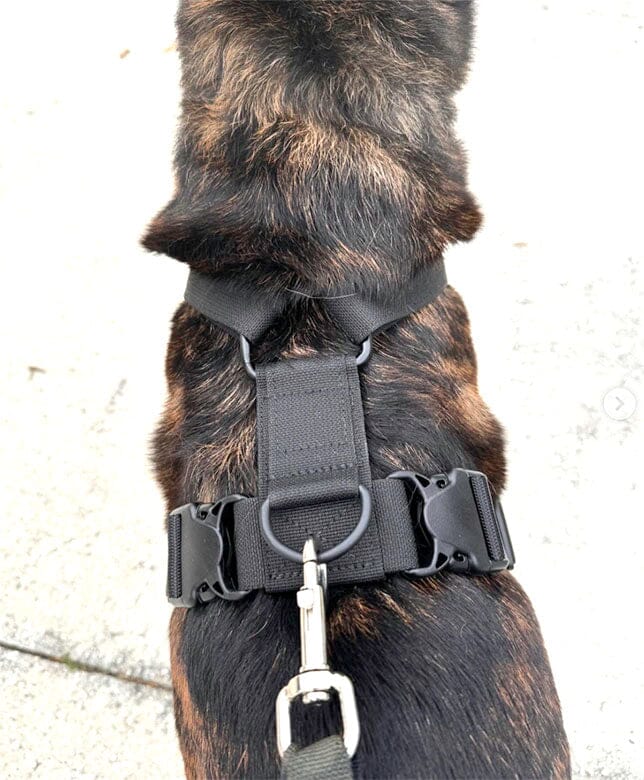 Recon Harness