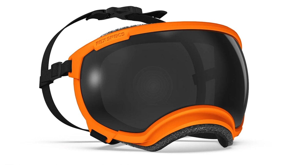 Rex Specs V2 Dog Goggles