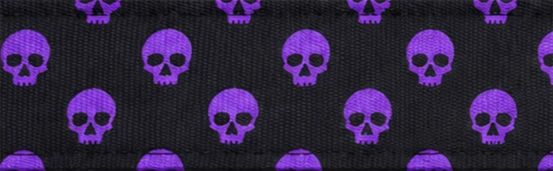 Limited Edition: 1.5" Halloween 2026 Collar