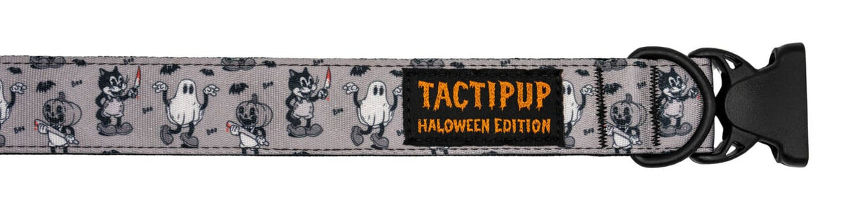 Limited Edition: 1.5&quot; Halloween 2025 Collar