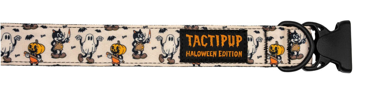 Limited Edition: 1.5&quot; Halloween 2025 Collar
