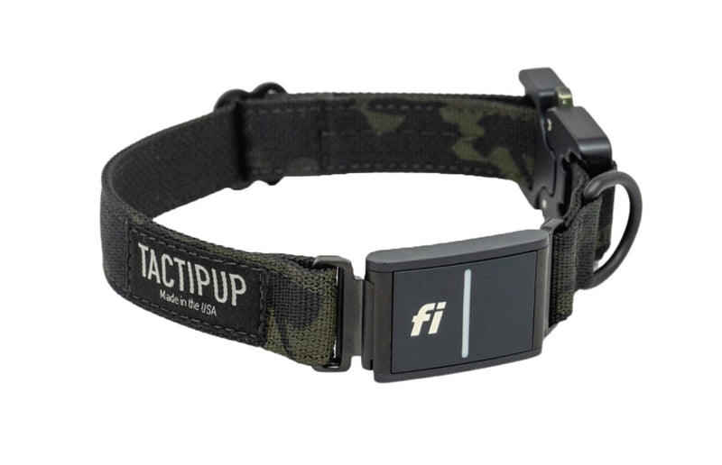 Fi Tactical Dog 1" Collar (Series 3) Tactipup
