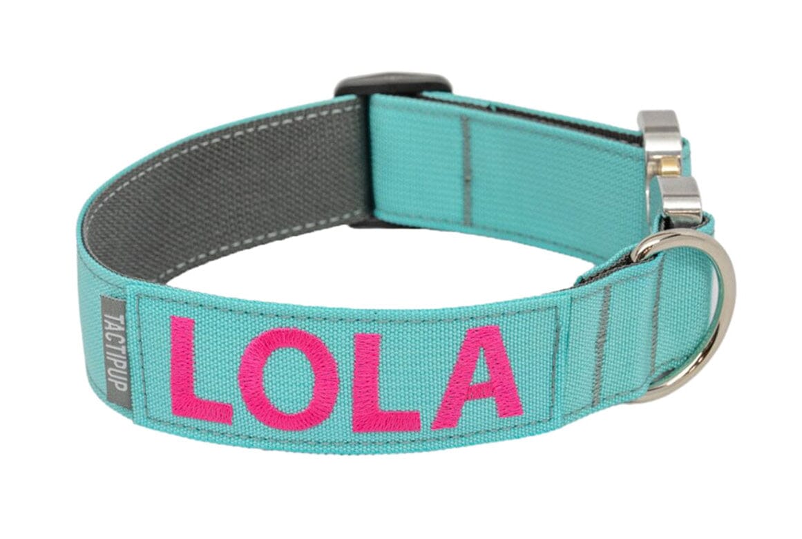 Personalized K9 Collars Tactipup Police Dog Collars