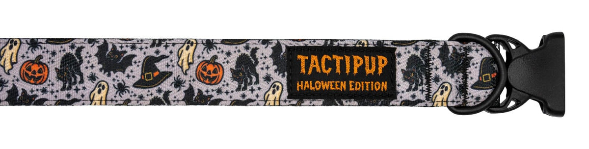 Limited Edition: 1.5&quot; Halloween 2025 Collar