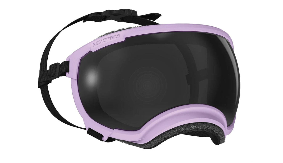 Rex Specs V2 Dog Goggles