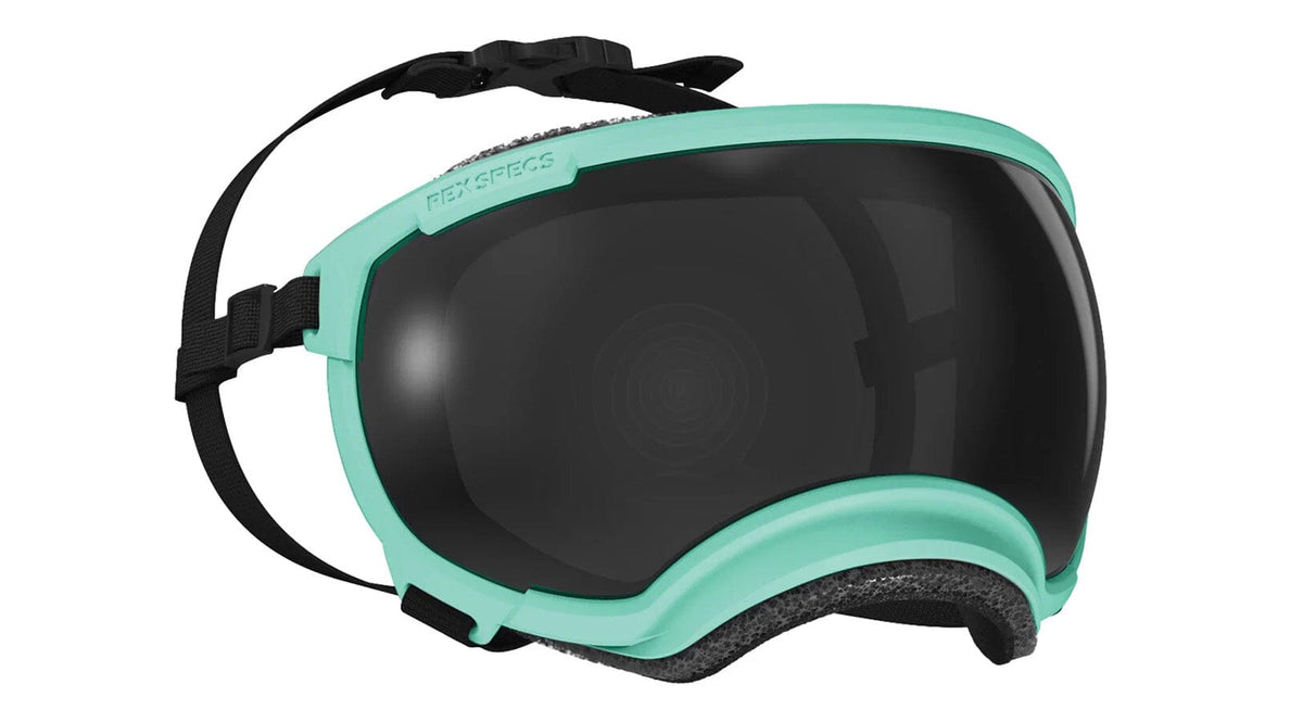 Rex Specs V2 Dog Goggles