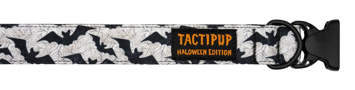 Limited Edition: 1.5&quot; Halloween 2025 Collar