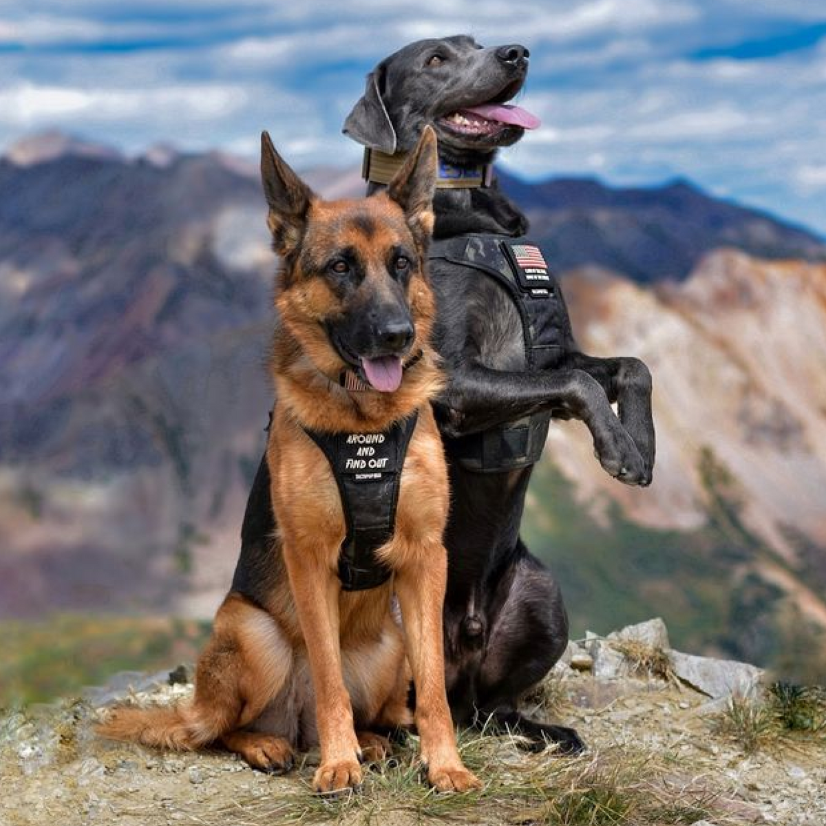 The Adventure Kit