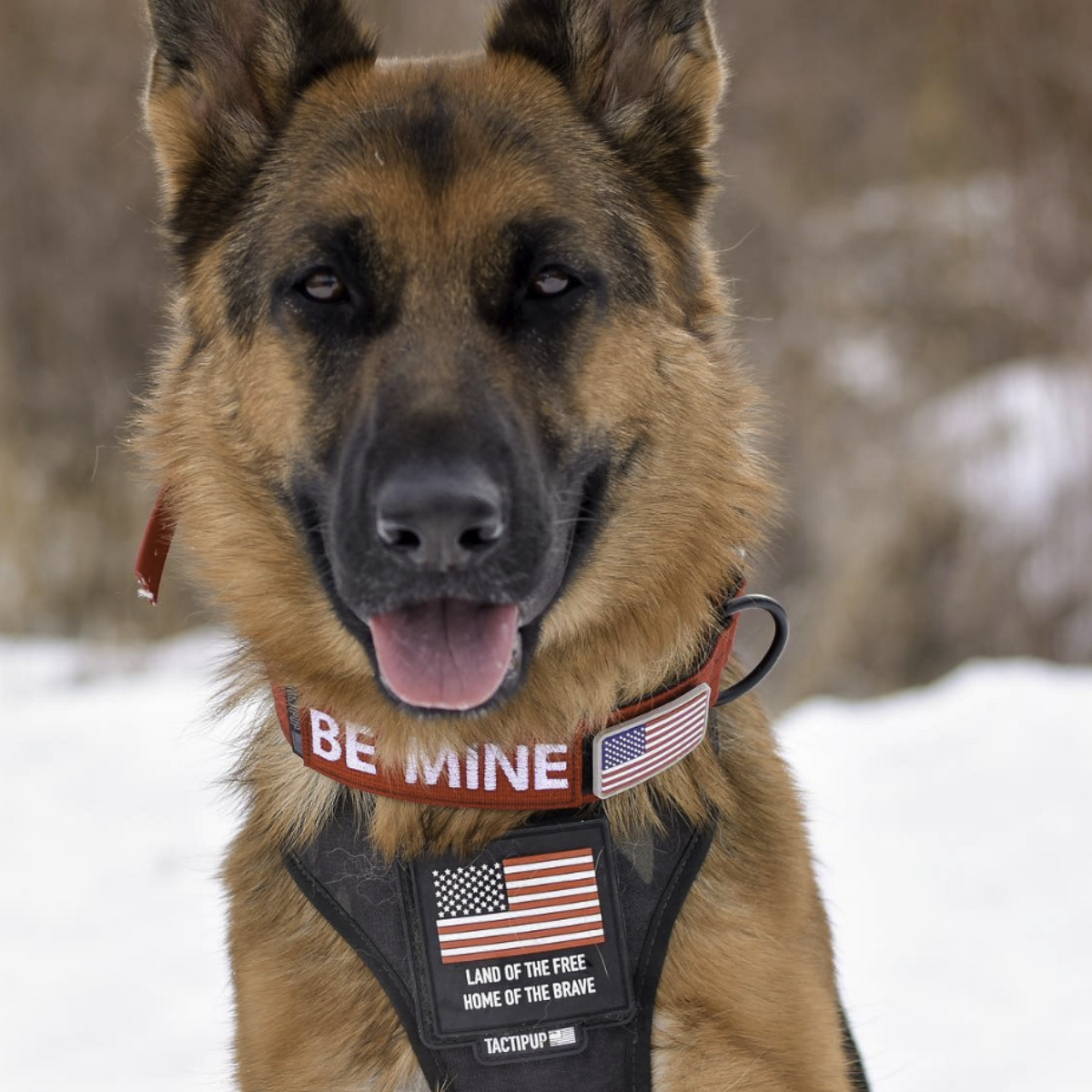 The Working K-9 Kit