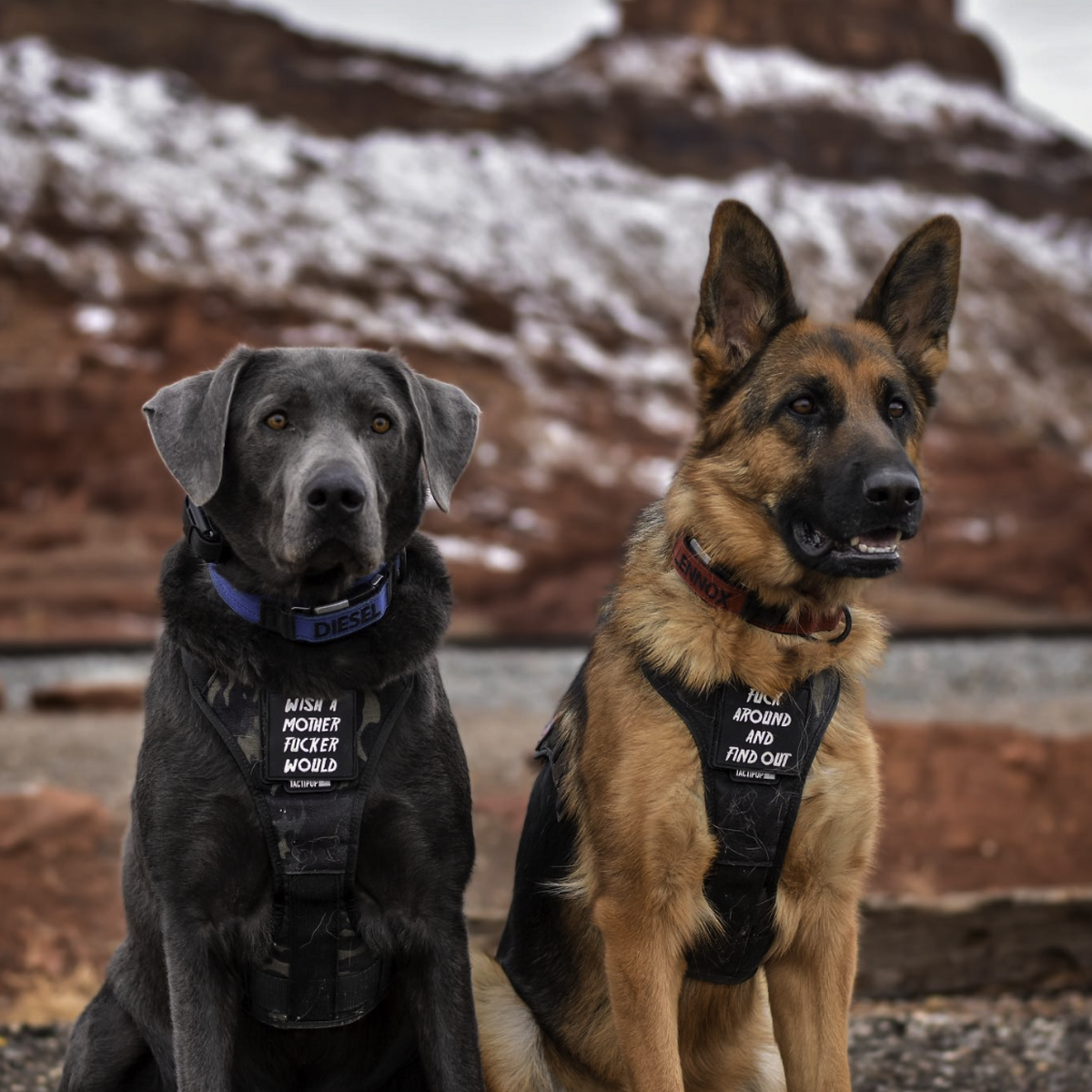 The Working K-9 Kit