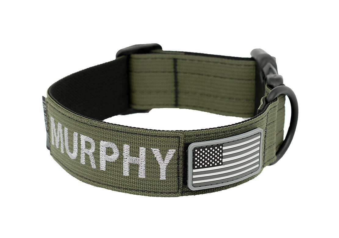 Tactipup Personalized Dog Collar with Flag
