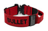 Personalized Extreme 2 inch Dog Collar with Handle