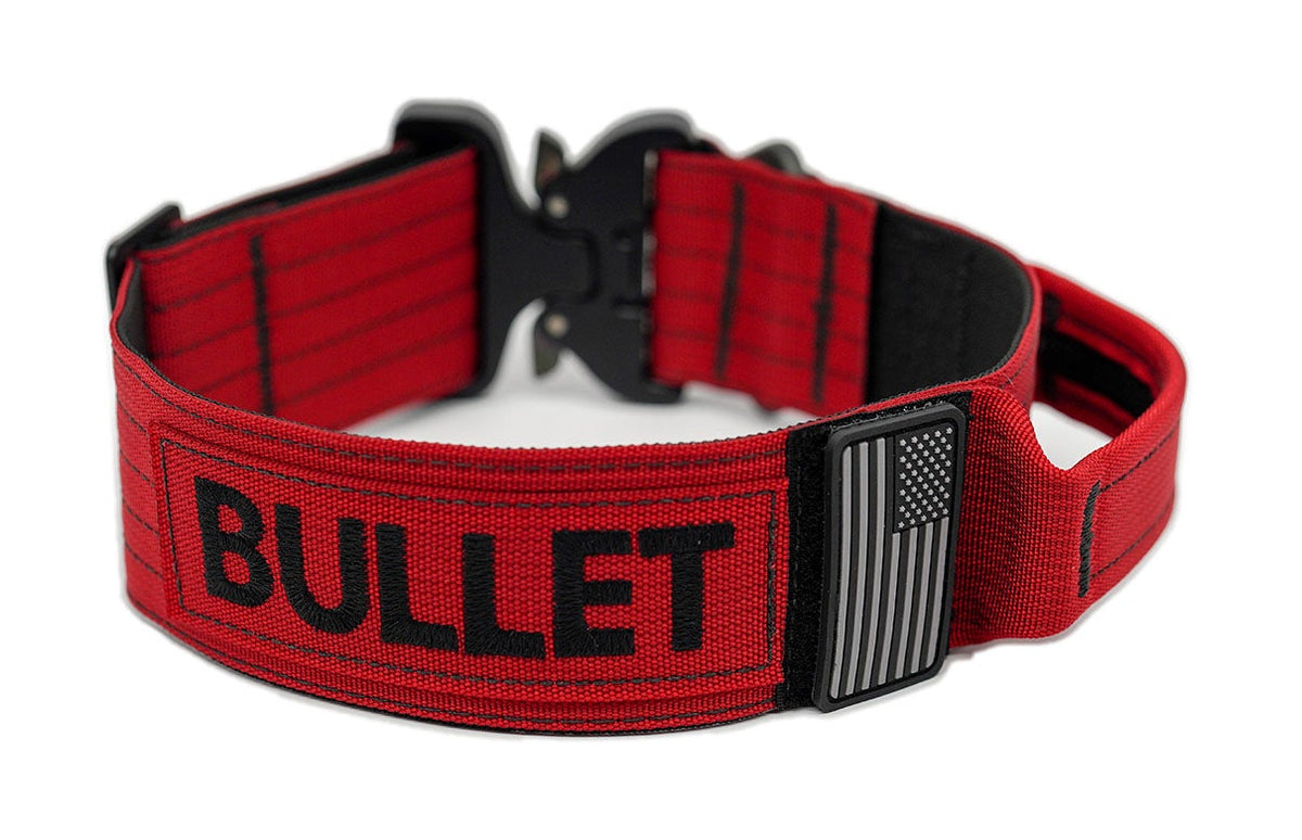 Personalized Extreme 2 inch Dog Collar with Handle