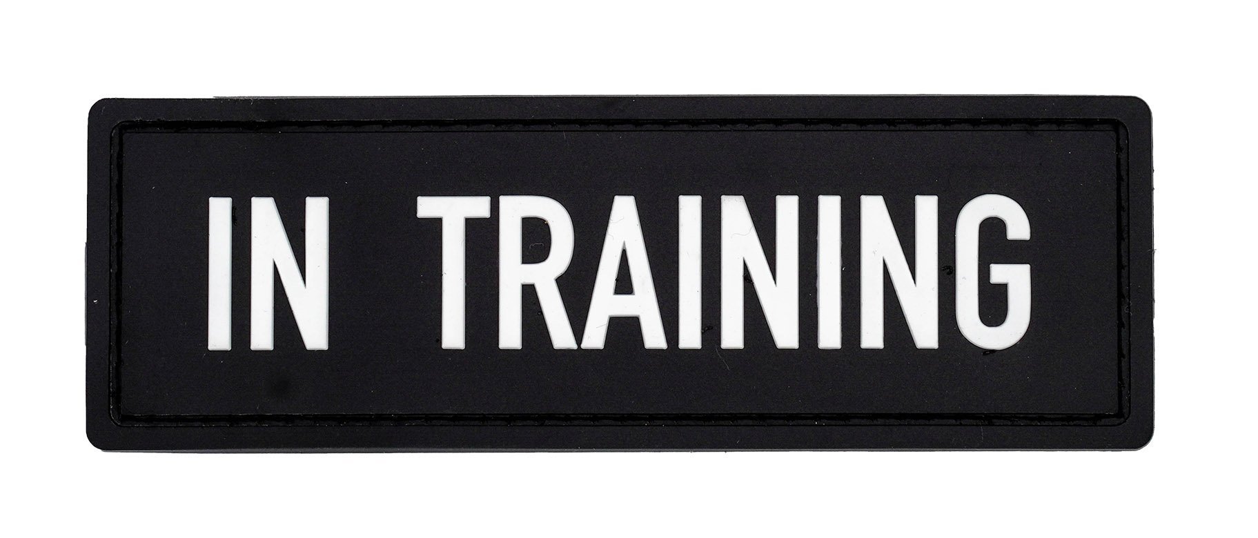 Dog in training patch deals