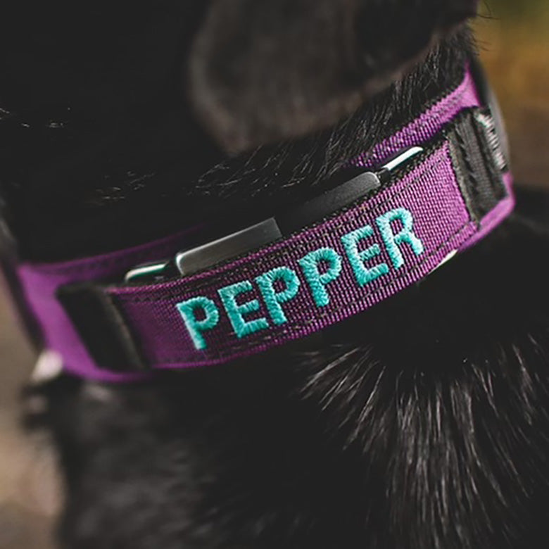 Tactipup Collar With Tactical Personalized Dog Collars With Name
