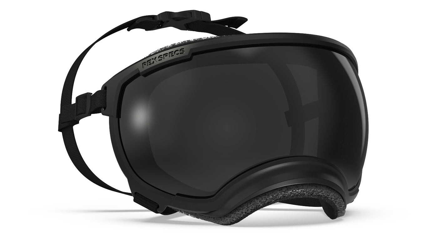 Dog goggles best sale for shadow chasing