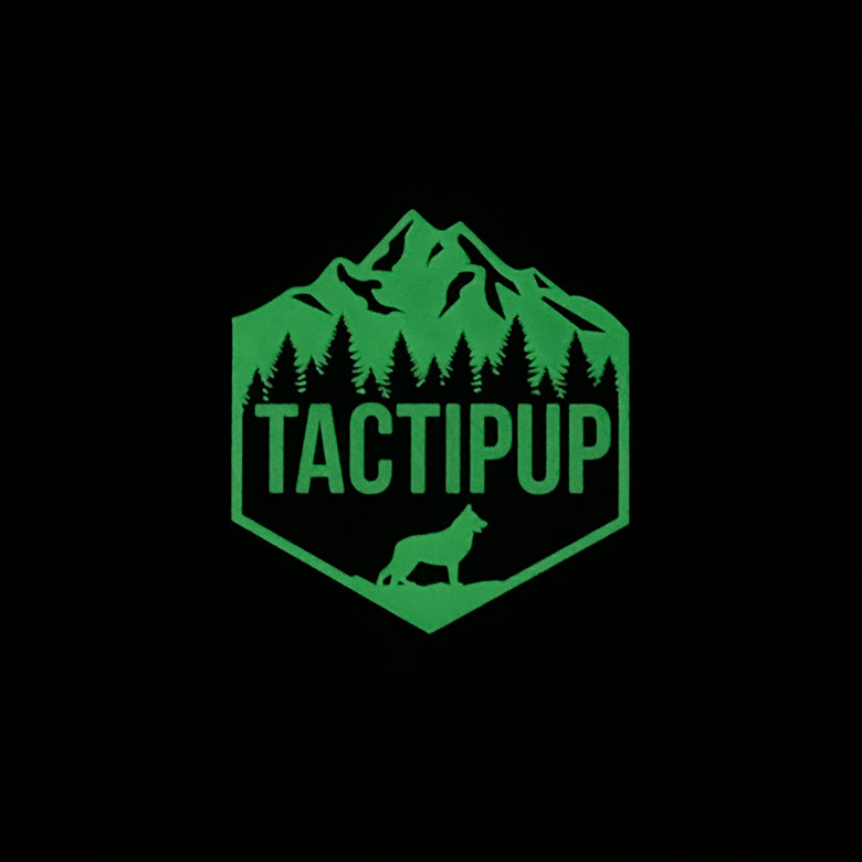 Glowing Tactipup Patch