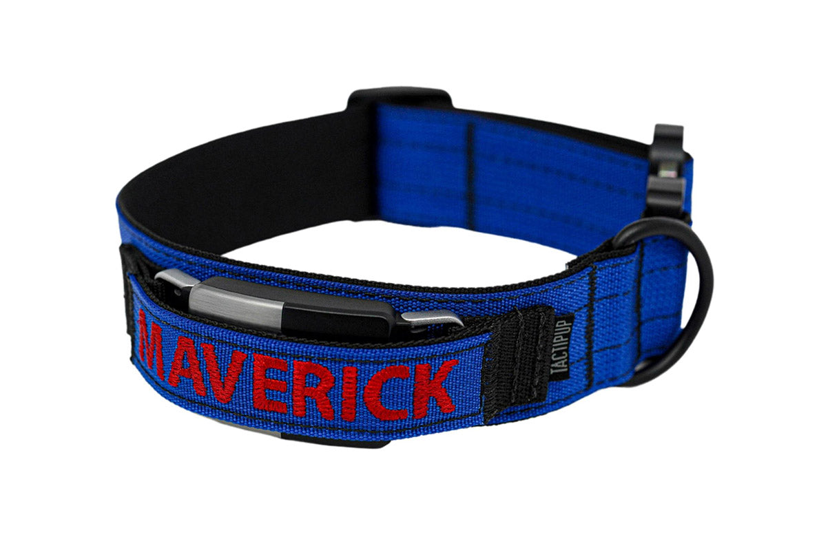 1.5 inch personalized fi dog collar