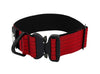 Agitation Dog Collar