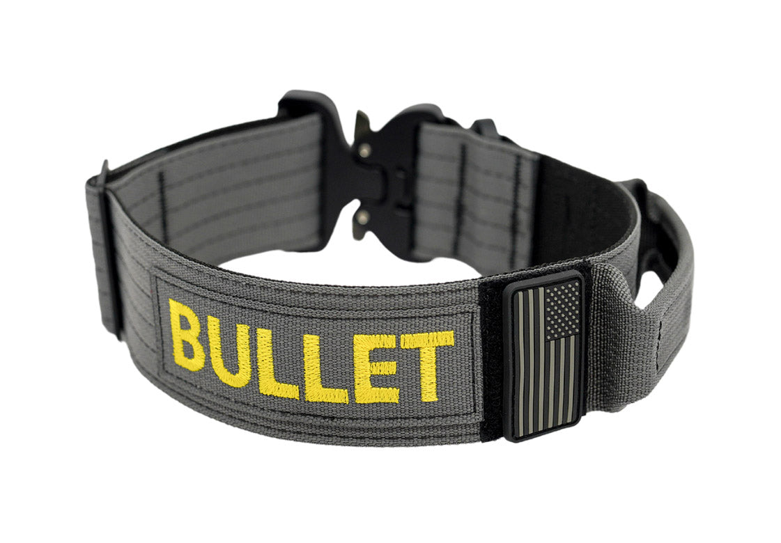 Dog Collar with Handle