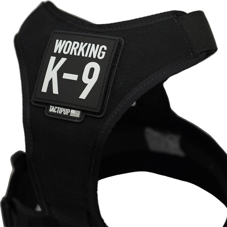 Working K9 Harness