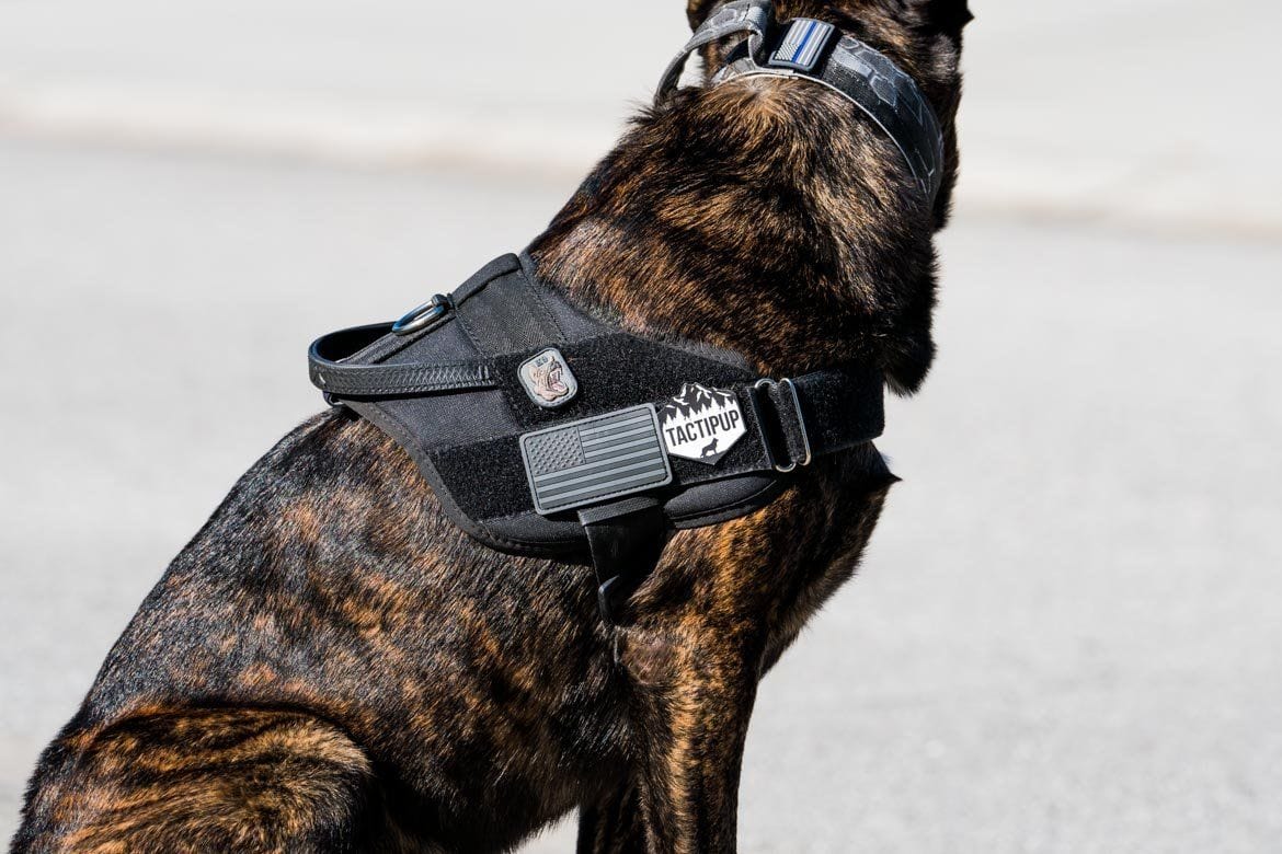 IDC Stealth Tactical Dog Harness with Handle